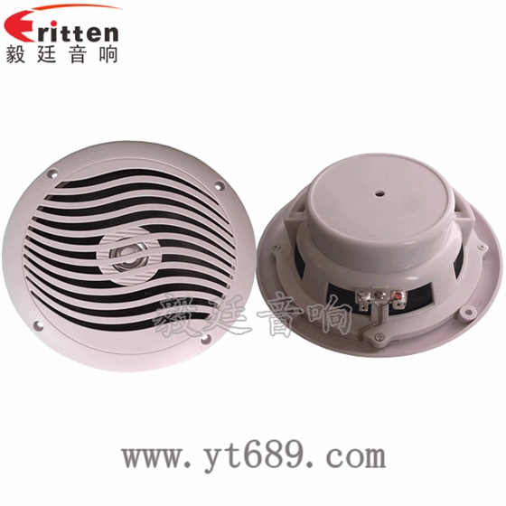 6.5寸游艇喇叭正反面 8''中低音舞台音箱喇叭厂家正反面