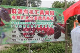 毅廷音响制造商