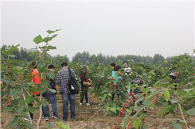 毅廷音响厂家 毅廷音响厂家