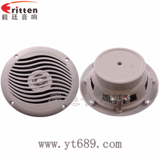 “纳尼”毅廷完美喇叭功放!! “纳尼”毅廷完美喇叭功放!!