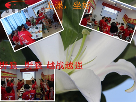 跟着野狼越战越强,金光闪闪的钱阿~钱