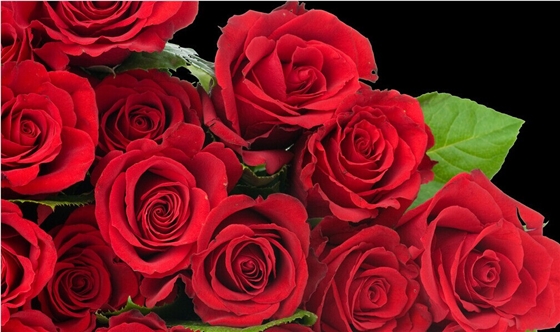 喇叭厂家 喇叭厂家