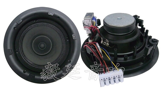 吸顶喇叭正反面 吸顶喇叭正反面