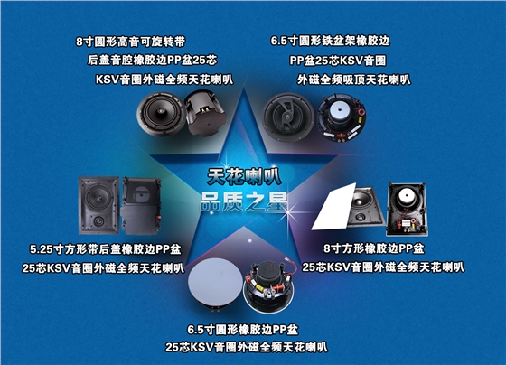 吸顶天花喇叭正反面图 吸顶天花喇叭正反面图