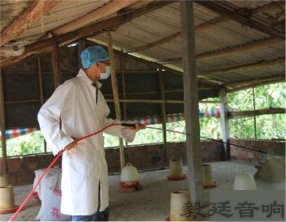 汽车音箱喇叭 汽车音箱喇叭