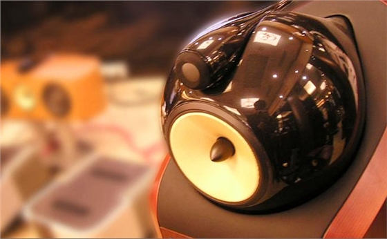 毅廷喇叭厂 (1).jpeg 毅廷喇叭厂 (1).jpeg