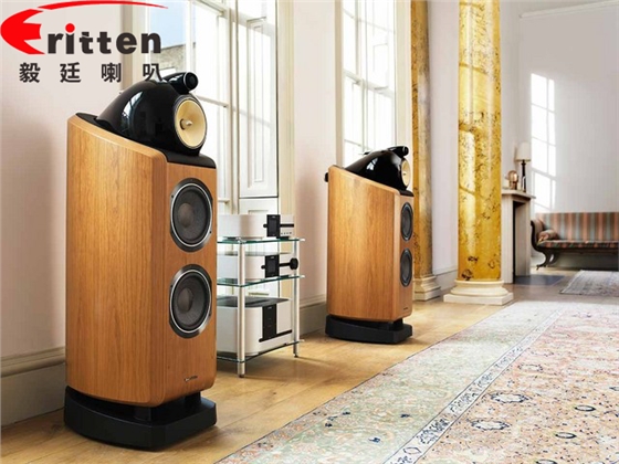 扬声器生产厂家 扬声器生产厂家