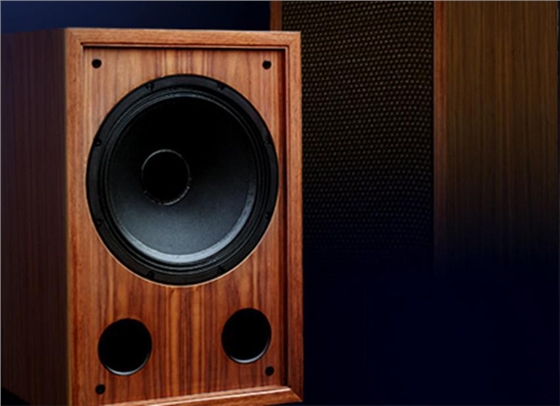 毅廷扬声器厂家 毅廷扬声器厂家