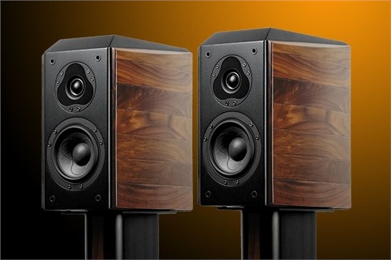 4寸低音喇叭 4寸低音喇叭