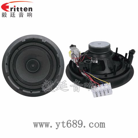 8寸25芯20瓦全频喇叭 8寸25芯20瓦全频喇叭