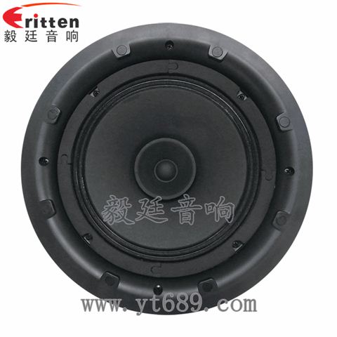 8寸25芯20瓦全频喇叭 8寸25芯20瓦全频喇叭