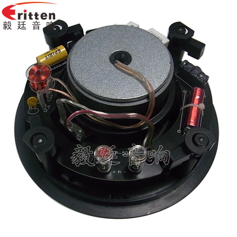 5.25寸天花扬声器