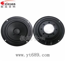 20芯4寸10W全频喇叭