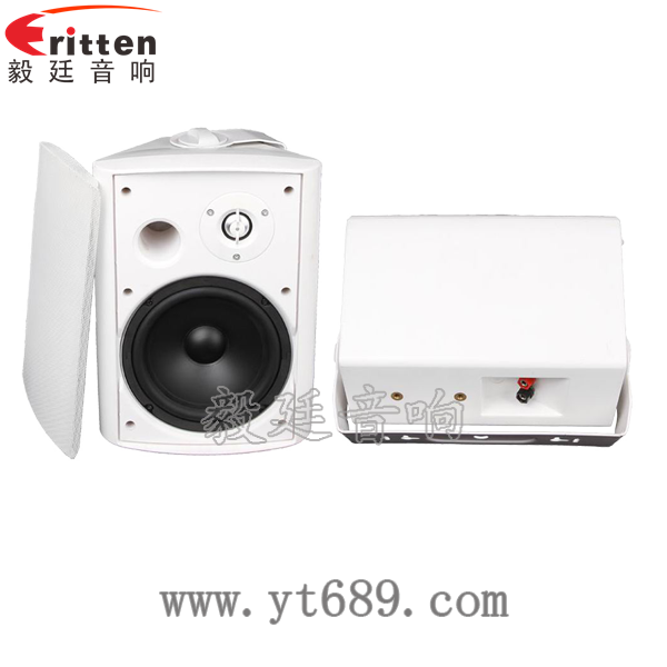 6.5寸2路墙壁音箱正反面 6.5寸2路墙壁音箱正反面