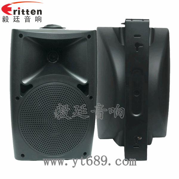 6.5寸两路墙壁喇叭正反面 8''中低音舞台音箱喇叭厂家正反面