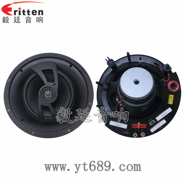 2路8寸吊顶喇叭正反面 8''250w 重低音喇叭正反面
