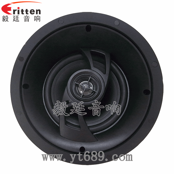 8''250w 重低音喇叭正面图