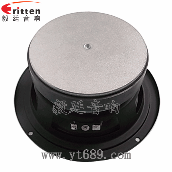 5.25寸汽车音响喇叭厂家正面图