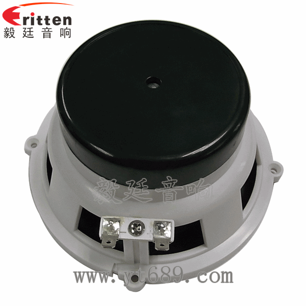5.25寸汽车音响喇叭厂家正面图