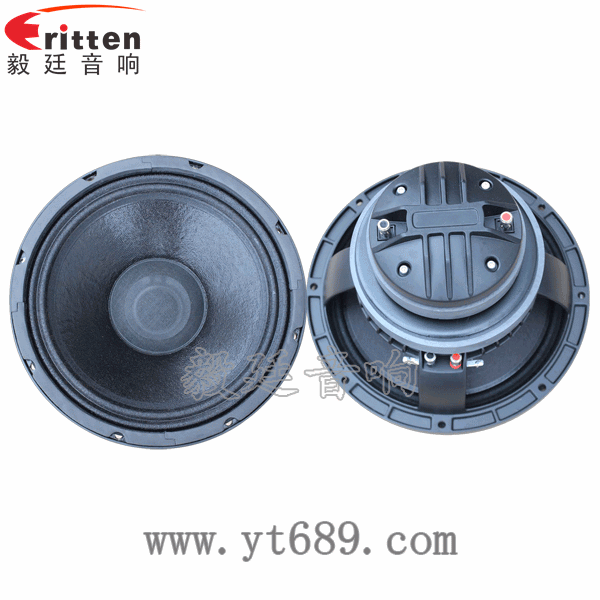 10寸pa喇叭厂家正反面 8''250w 重低音喇叭正反面