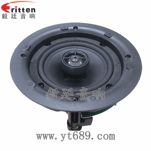 8''250w 重低音喇叭正面图