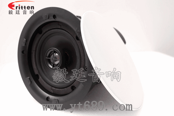 8''250w 重低音喇叭正面图