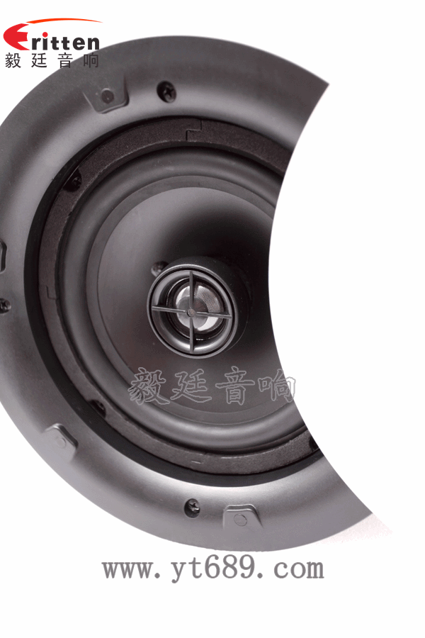 8''250w 重低音喇叭正面图