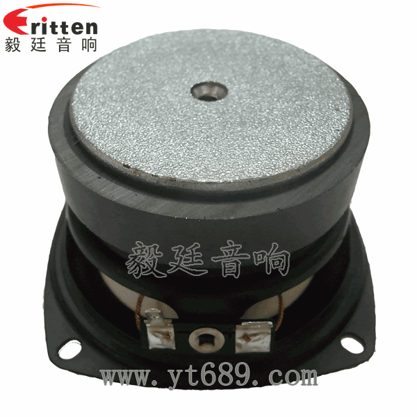 58mm20芯8瓦内磁全频喇叭反面图