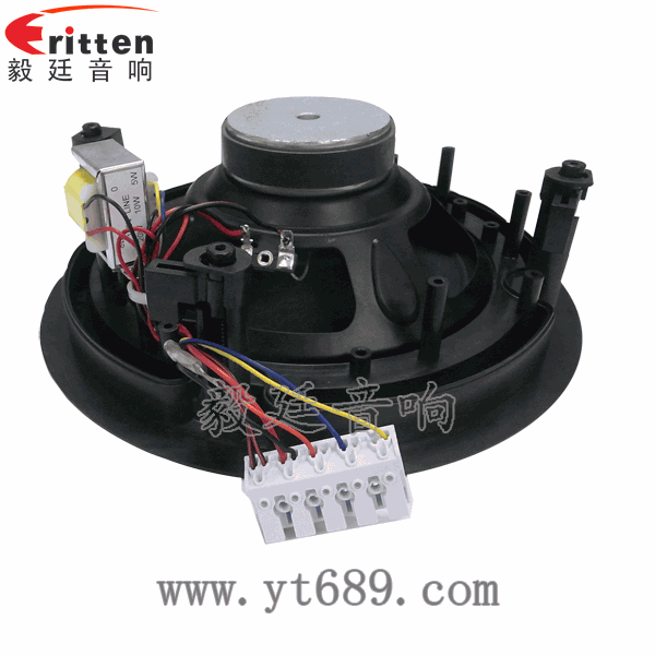 58mm20芯8瓦内磁全频喇叭反面图