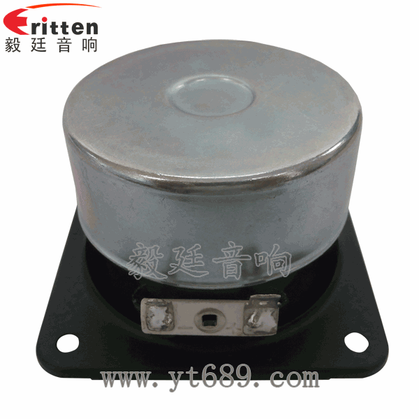 46mm5w高品质内磁学习机喇叭反面图