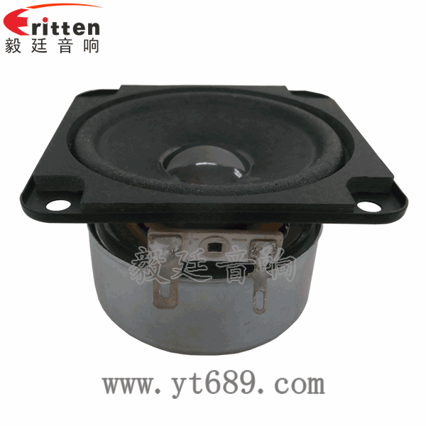 46mm5w高品质内磁学习机喇叭正面图