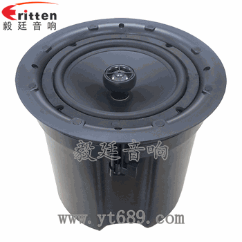 8''250w 重低音喇叭正面图