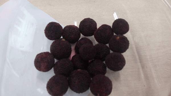 毅廷喇叭厂勇敢迈出第一步就是我们最大胜得 —牛商争霸死党互动学习共成长 毅廷喇叭厂勇敢迈出第一步就是我们最大胜得 —牛商争霸死党互动学习共成长