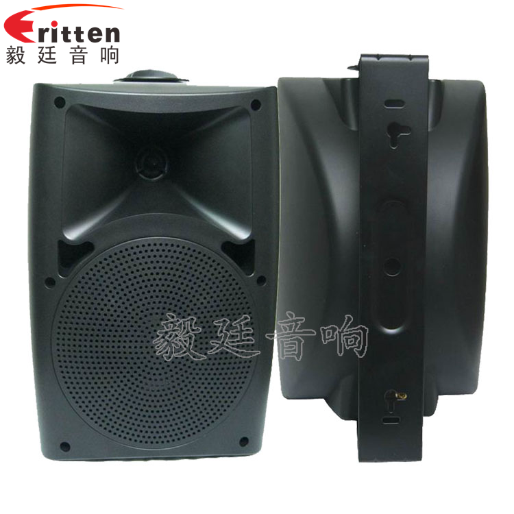 6.5寸墙壁音箱喇叭正反面 8''中低音舞台音箱喇叭厂家正反面