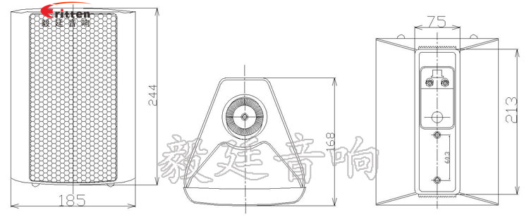 5.25寸挂壁音箱喇叭成品图