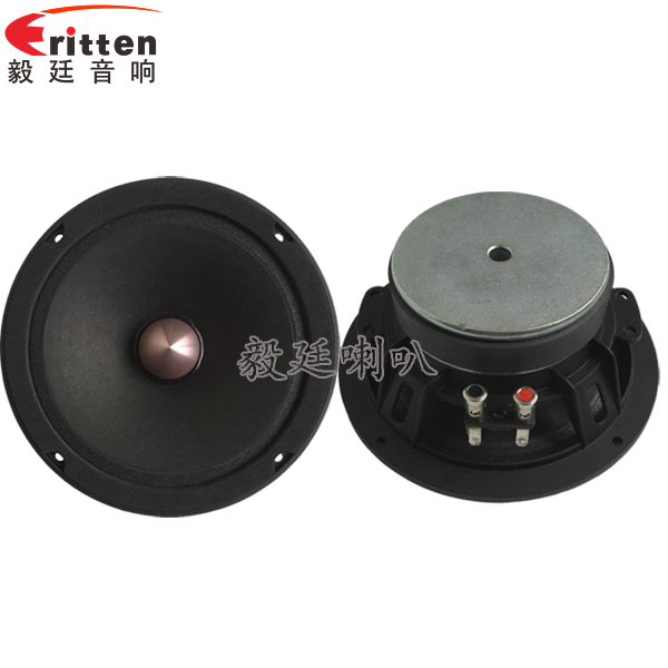 正反面.png 8''中低音舞台音箱喇叭厂家正反面