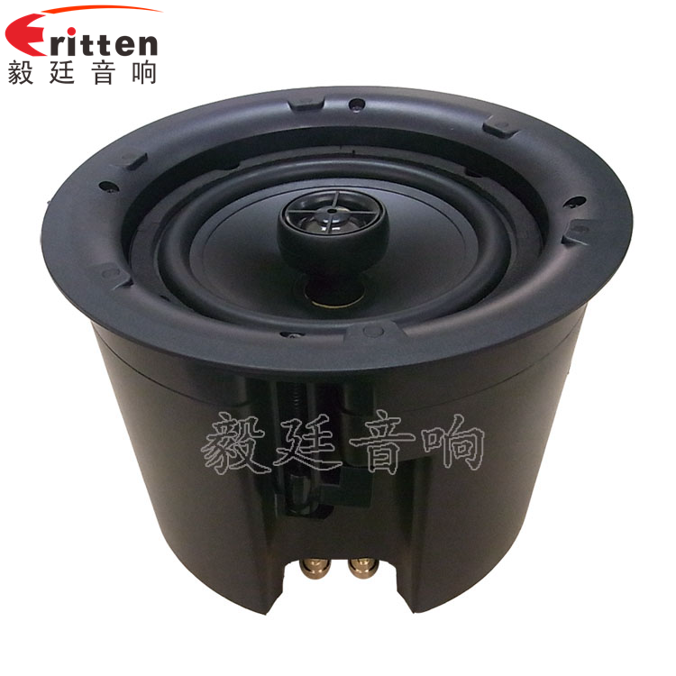 8''250w 重低音喇叭正面图