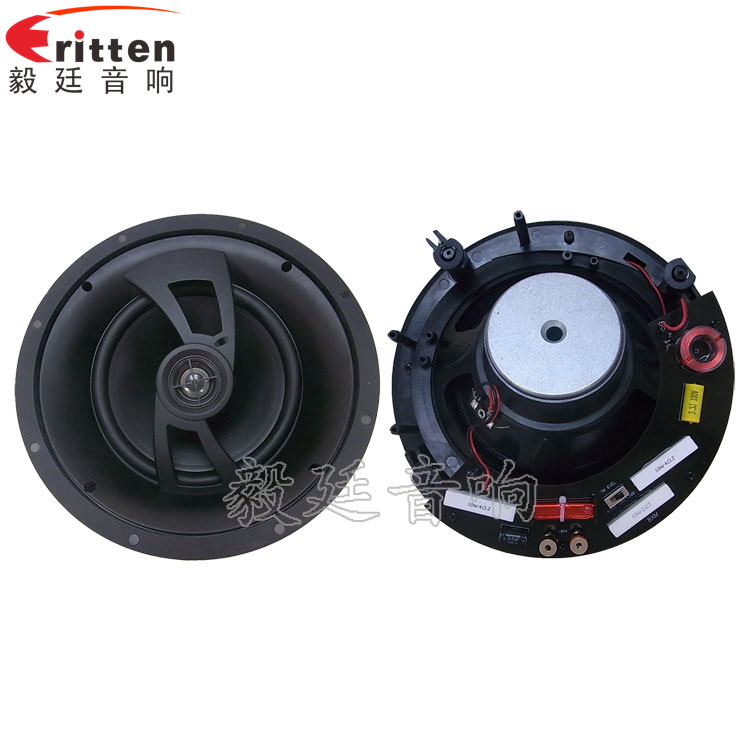 2路8寸吊顶喇叭正反面 8''250w 重低音喇叭正反面