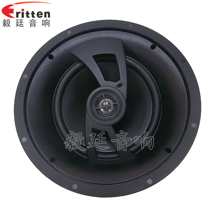 8''250w 重低音喇叭正面图
