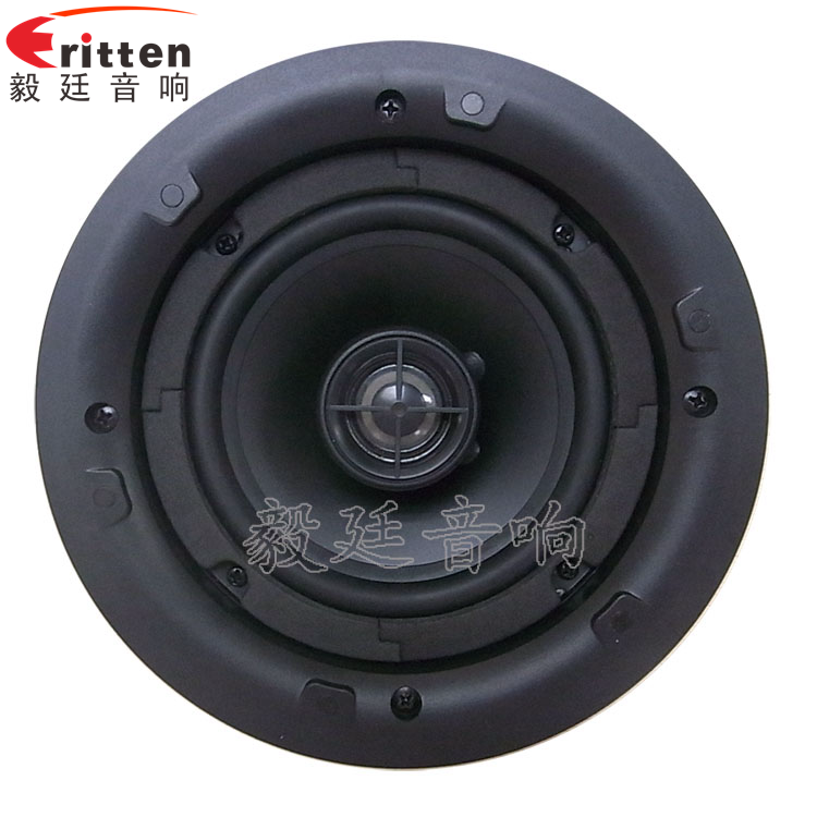 8''250w 重低音喇叭正面图