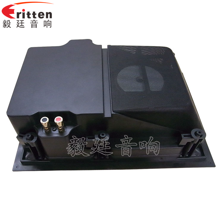 8''250w 重低音喇叭正面图