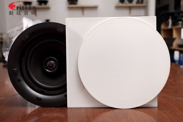 8''250w 重低音喇叭正面图