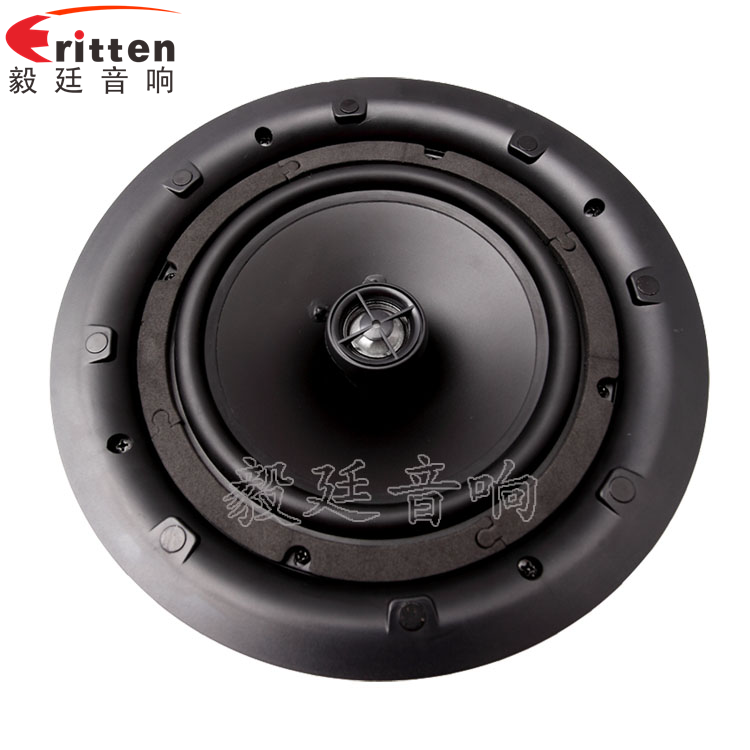 8''250w 重低音喇叭正面图