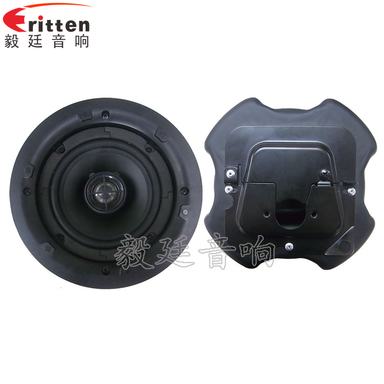 5.25寸圆筒吸顶天花喇叭正反面 8''250w 重低音喇叭正反面