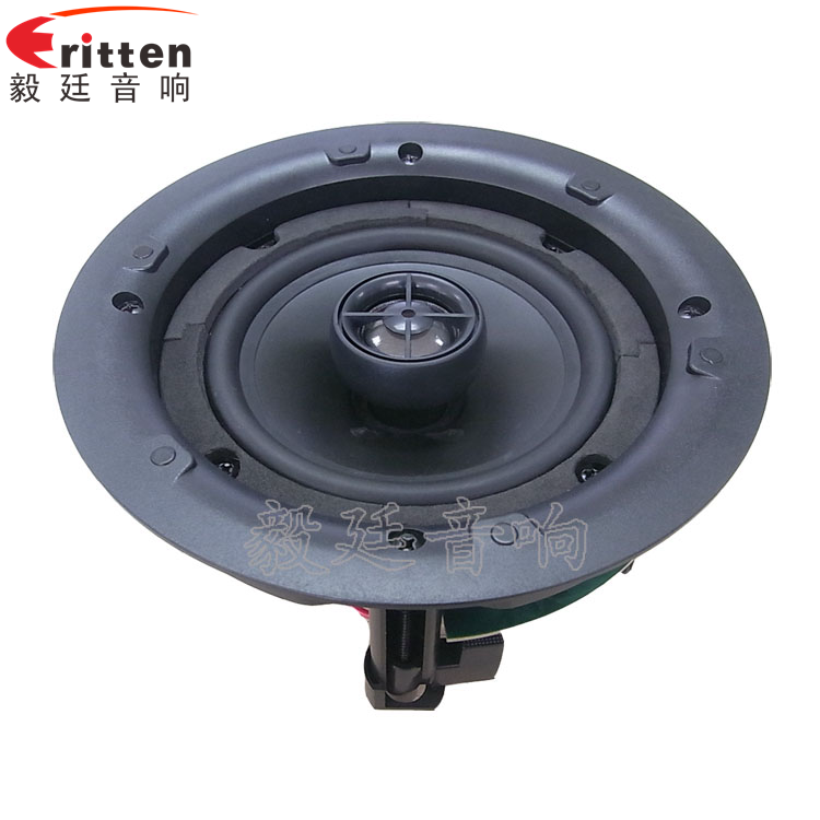 8''250w 重低音喇叭正面图