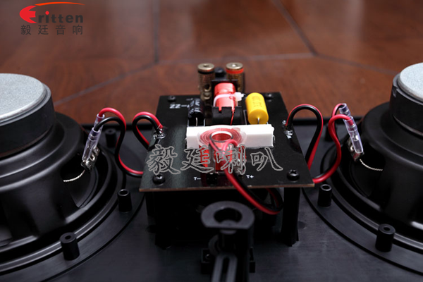 8''250w 重低音喇叭正面图