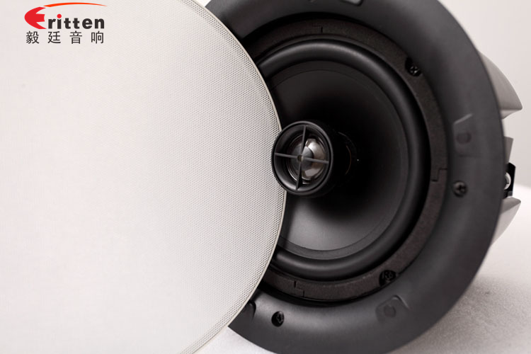 天花音响喇叭正面照 天花音响喇叭正面照