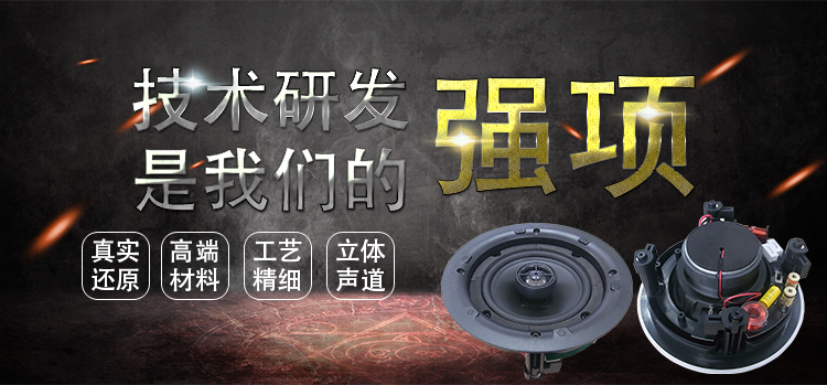 5.25寸(196mm)PP盆/橡胶边50W铁氧体全频天花音箱喇叭 5.25寸(196mm)PP盆/橡胶边50W铁氧体全频天花音箱喇叭
