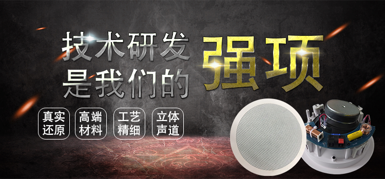 6.5寸(238mm)8欧30w斜面板天花喇叭 6.5寸(238mm)8欧30w斜面板天花喇叭