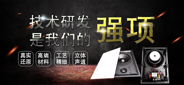 8寸(255*358mm)全频60W墙壁喇叭 8寸(255*358mm)全频60W墙壁喇叭